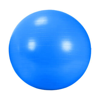Rehabilitačná lopta Gym Ball 65cm
